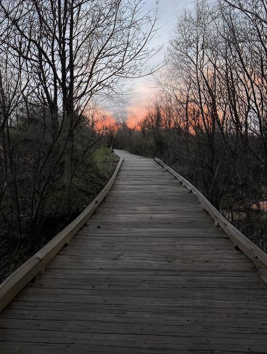 Post-Apocalyptic Gazebo at Dusk in a Botanic Landscape