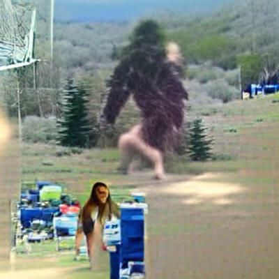 Possible Sasquatch Sighting: Unclear Image