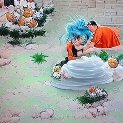 Goku and Bulma Wedding Celebration