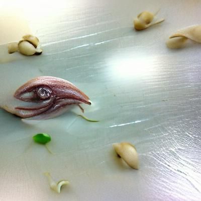 The Seed of Squid: An AI Interpretation