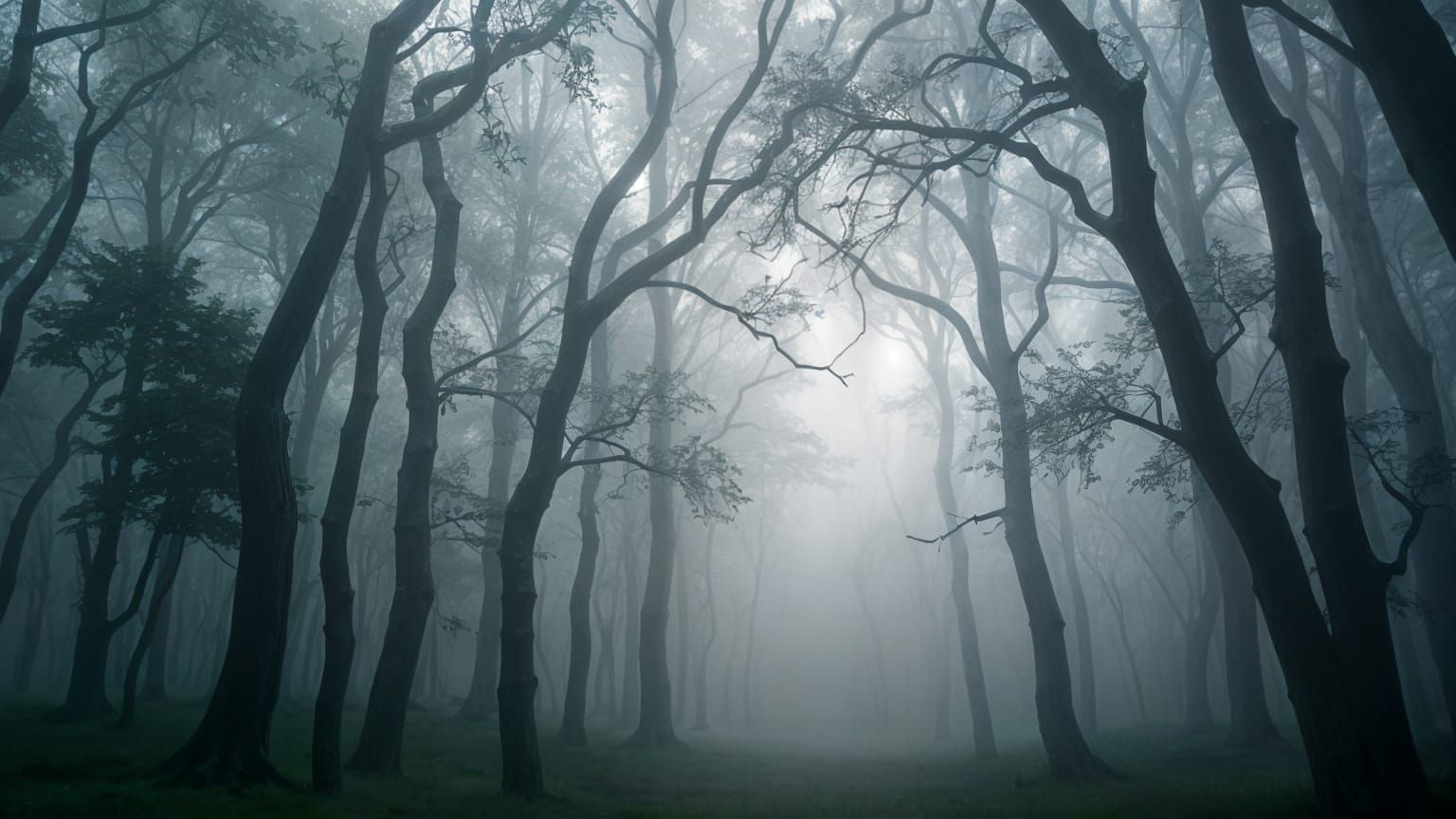 Lost in the Fog  by @Beep