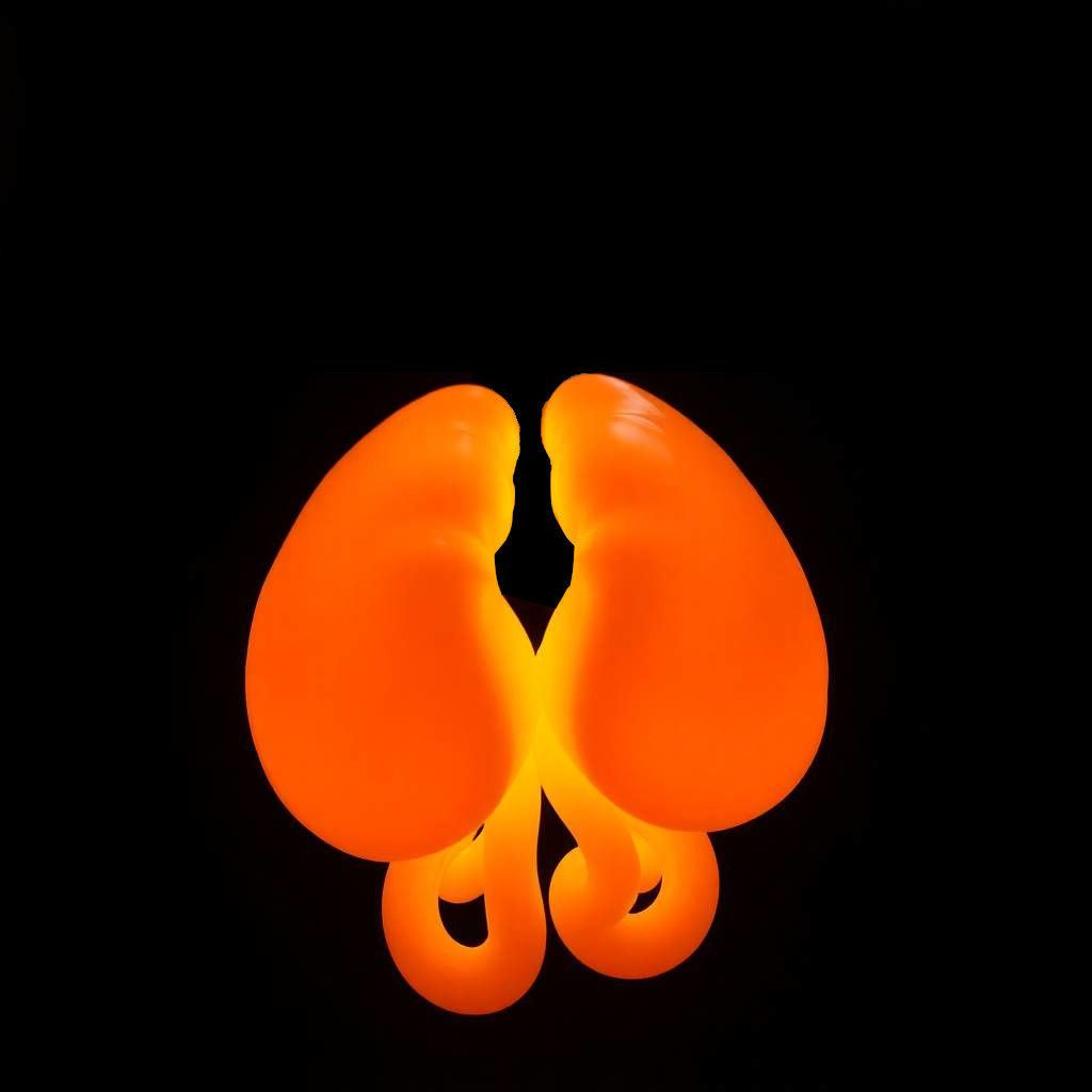 Neon Orange Kidneys