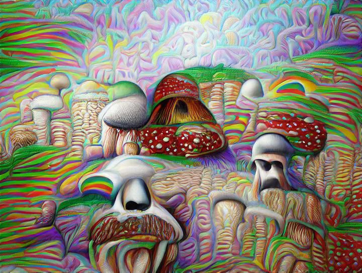 Cubensis mushroom nightmare