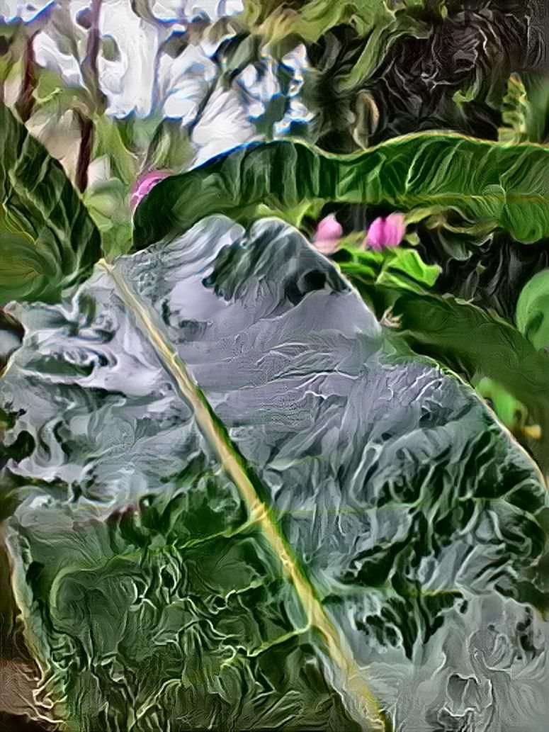 nature
