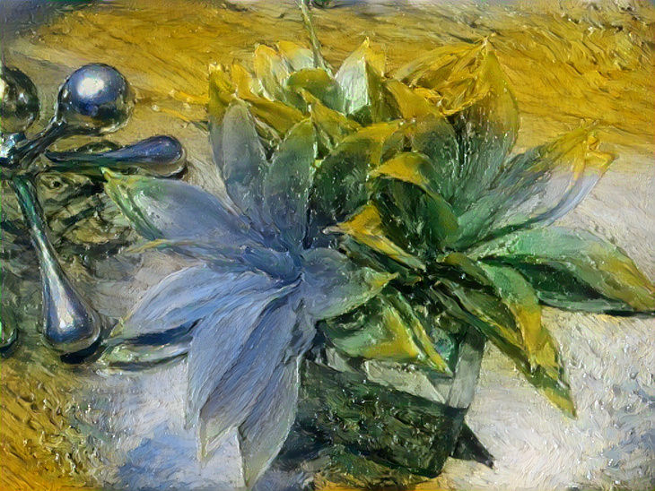 Plant next to asterisk II