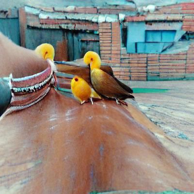 Friends