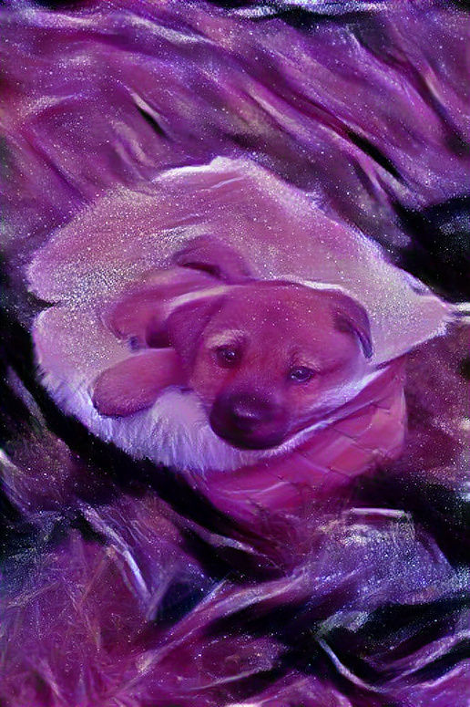 Galaxy Dog