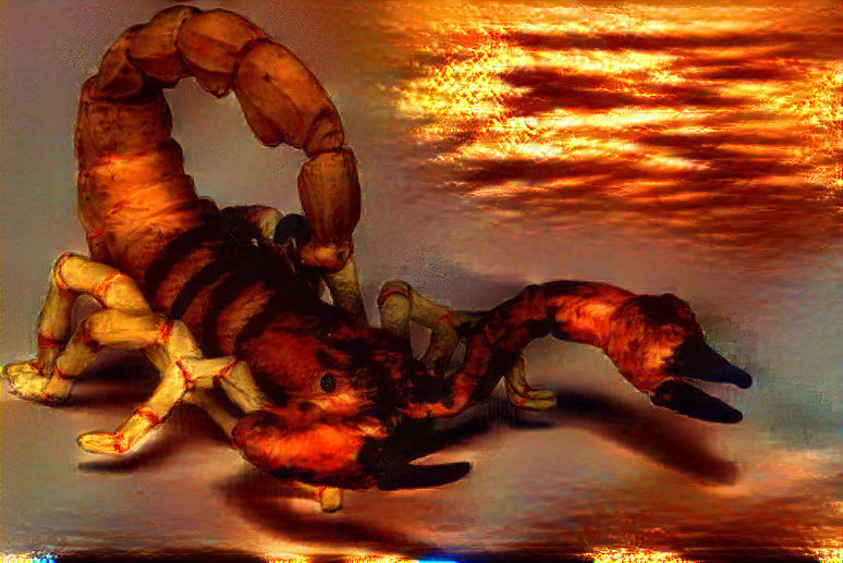 Fire Scorpion at Sunset