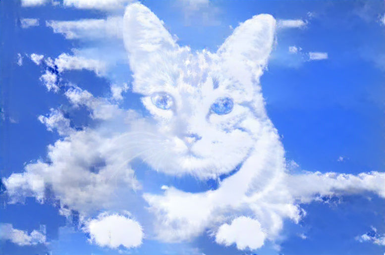 Cloud cat