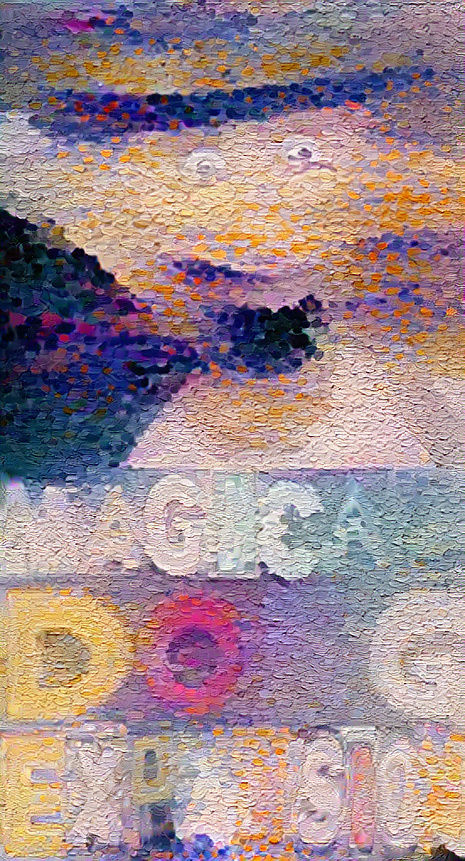 It says “magical dong expansion” btw