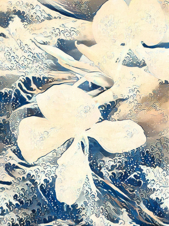 delicate