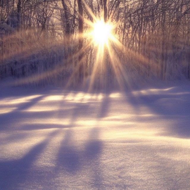 the frozen kingdom