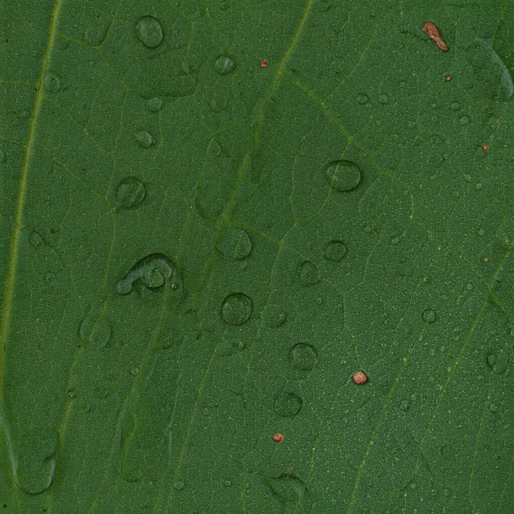 AI Generated Image of Treasure