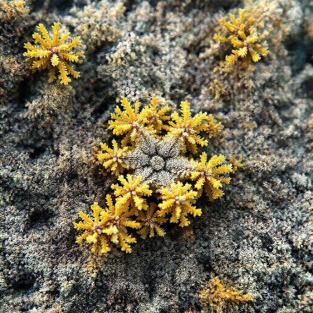 Omer Adam Performing Live Under Dramatic Spotlight