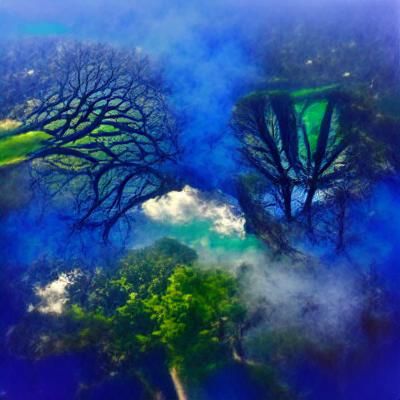blues and greens and mystical trees