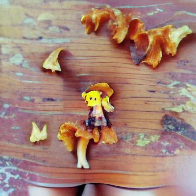 Chanterelle girl
