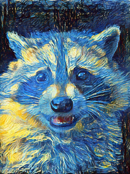 RACCOON