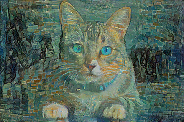The Cat