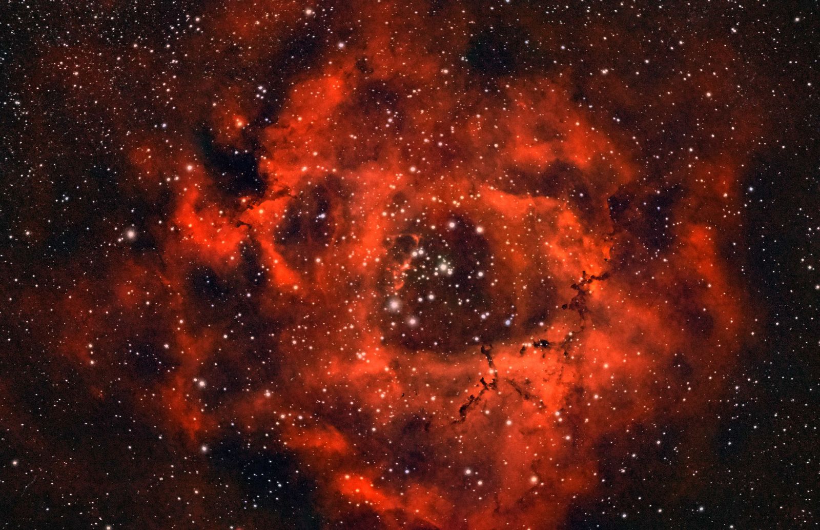 A journey to the heart of The Rosette Nebula.