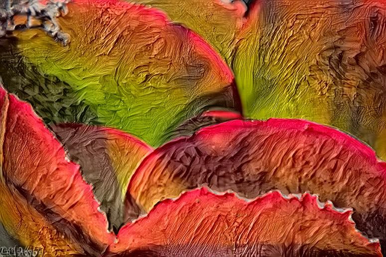 Leaves