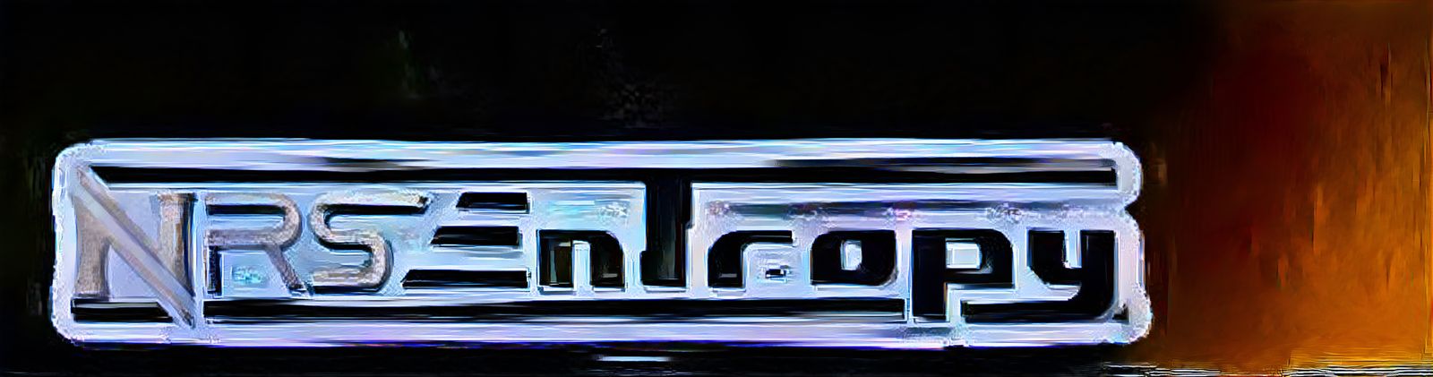 Nrs entropy Logo
