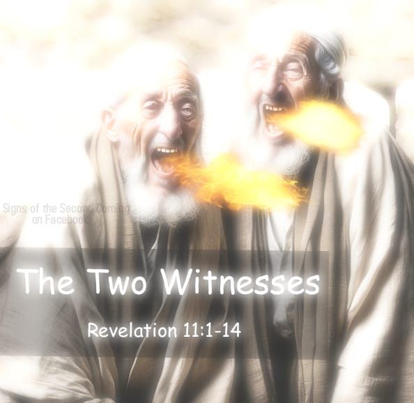 The Two Witnesses Revelation 11:1-14