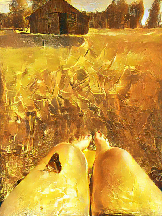 Golden butterfly