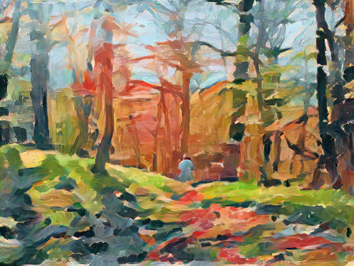 A Walk in the forest