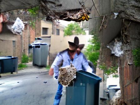 A cowboy dumps a murder hornet nest in the alleyway trash