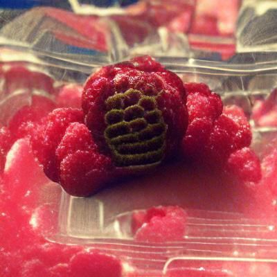 The best raspberry in the universe