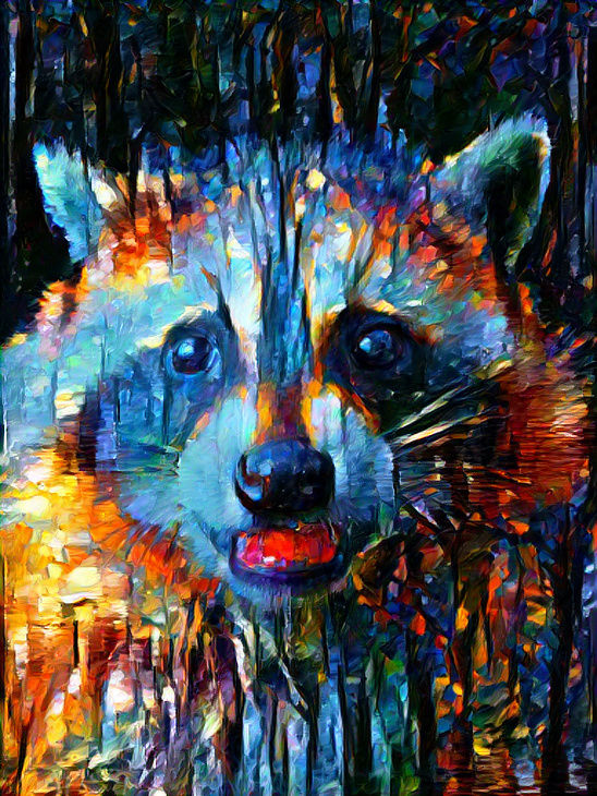 Raccoon