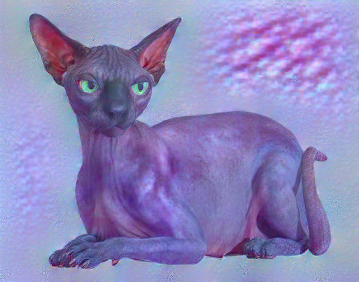 Fancy Dream Feline