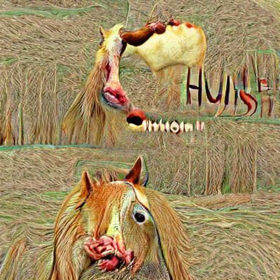 A horse eats a humsn