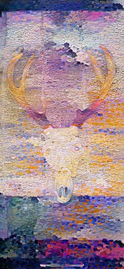 Deer skull