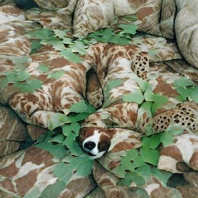 Natural camouflage