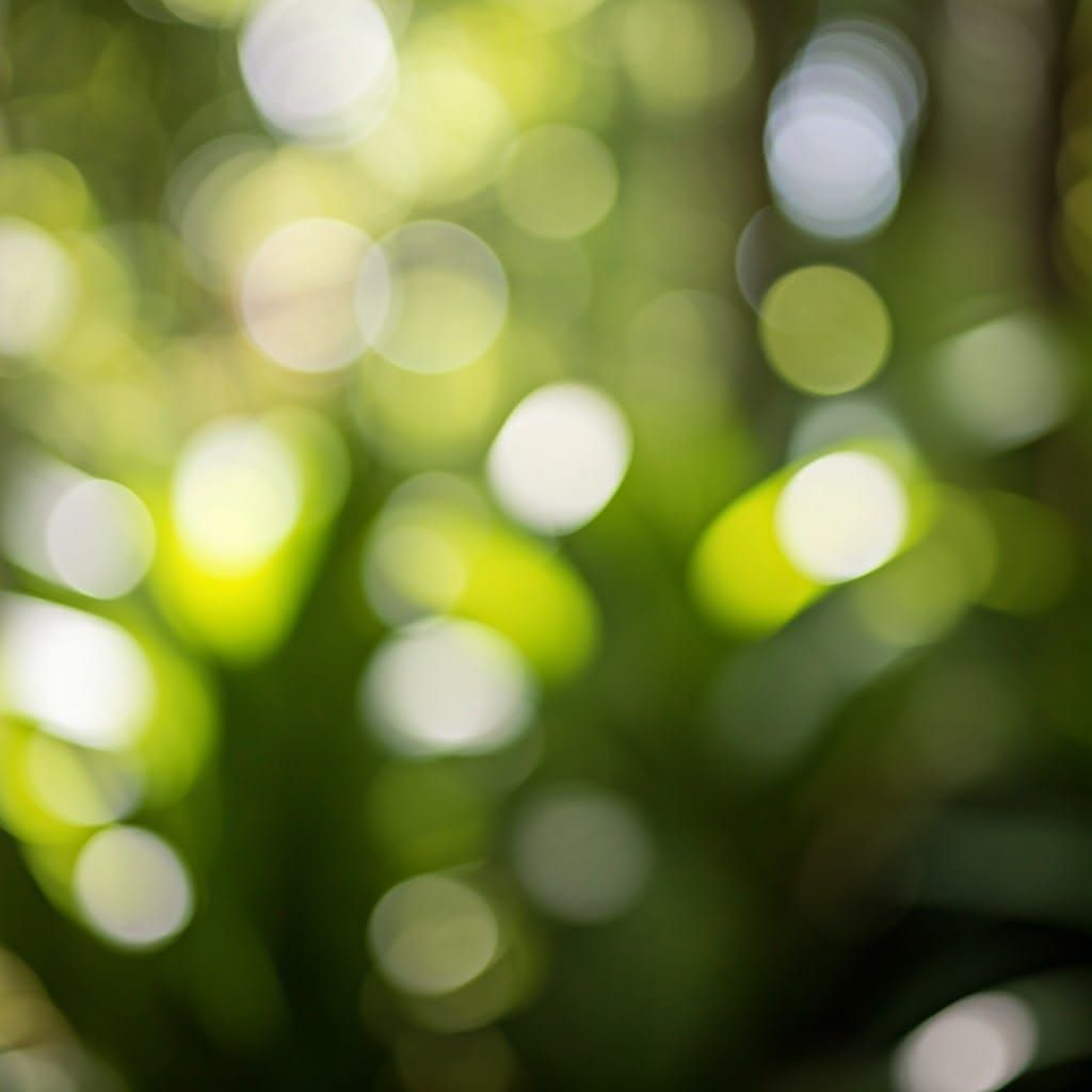 Serene Botanical Garden Oasis in Soft Natural Light