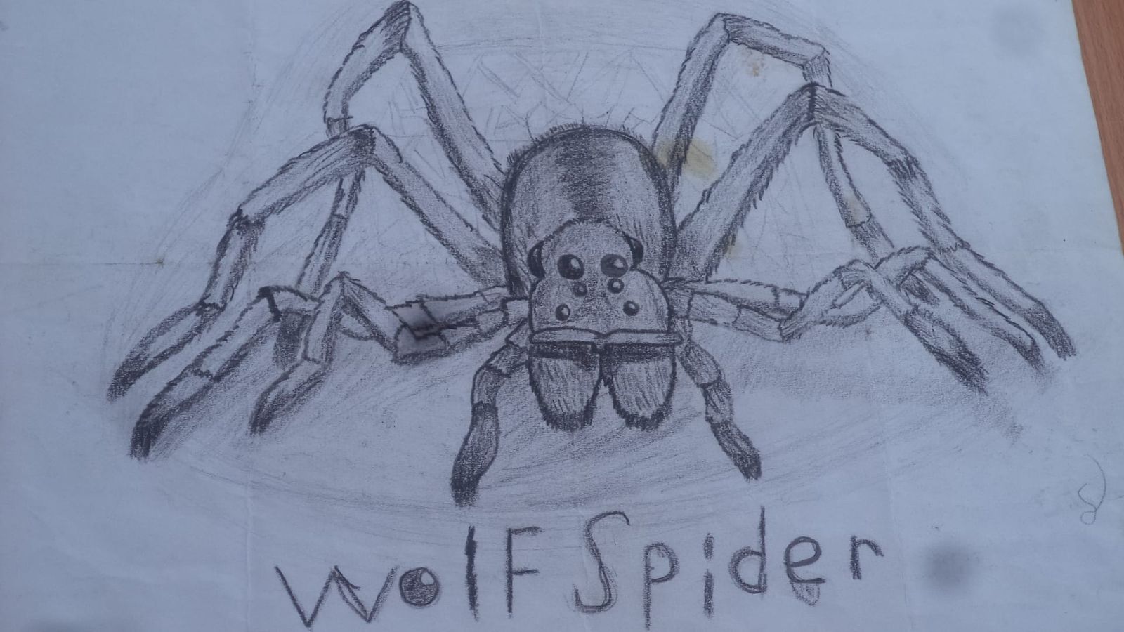 This picture is before and after using (ai)