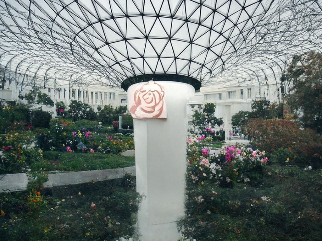 rose garden