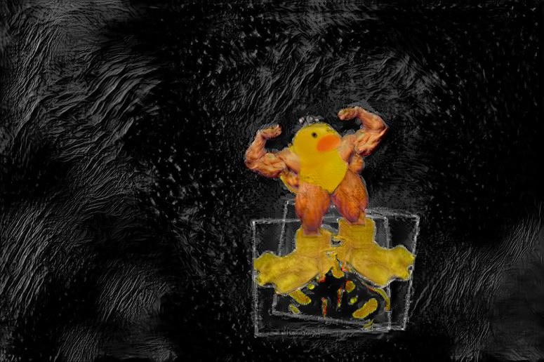 painting of duck