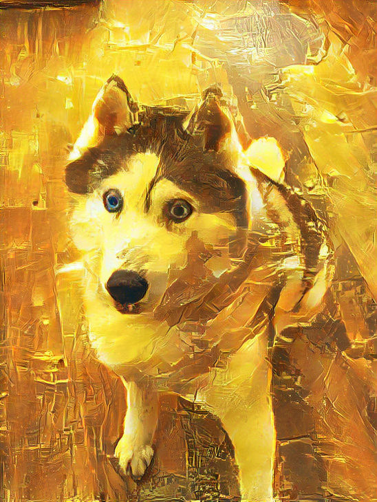 Golden Vigilance: A Husky's Inquisitive Gaze