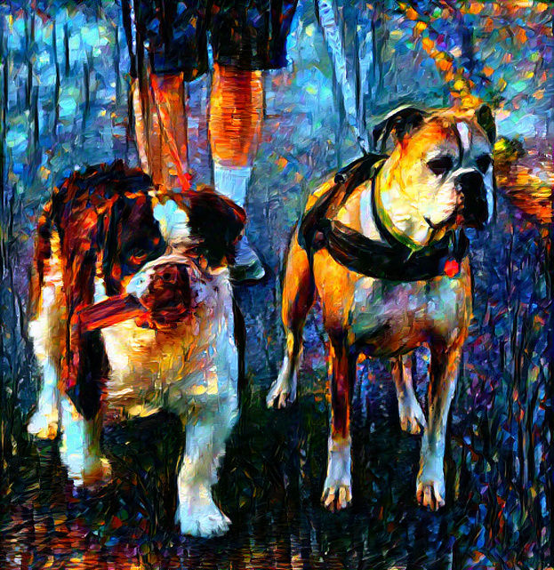 Taking boys for a walk
