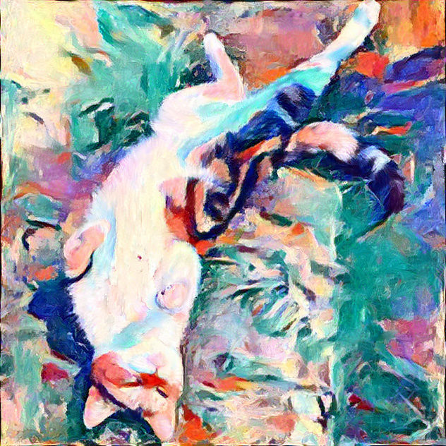 Cat rolling in grass