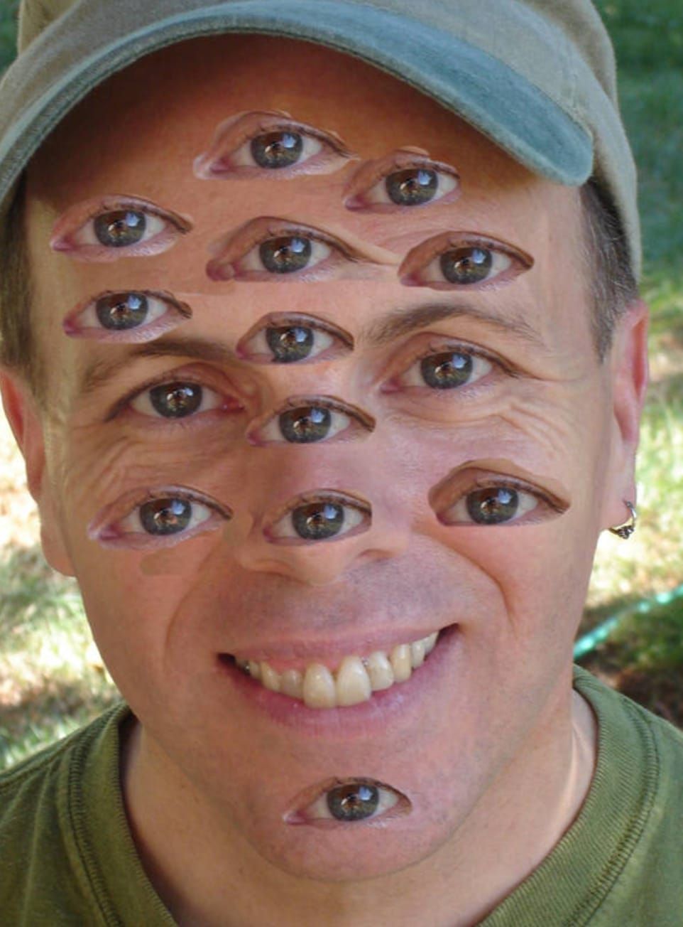 Insectoid Hypervision