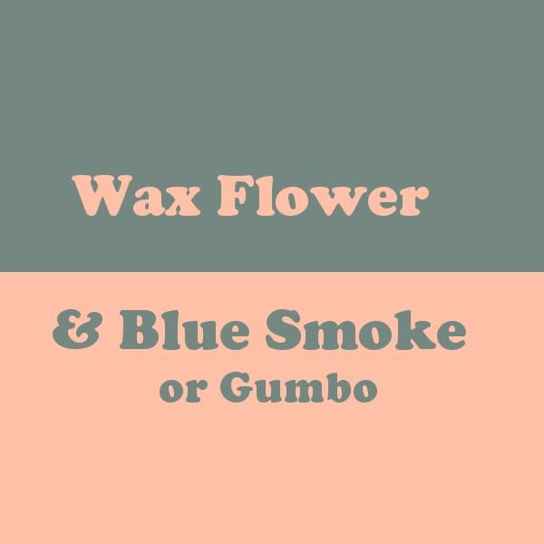 Dichromatic Palette - Wax Flower & Blue Smoke