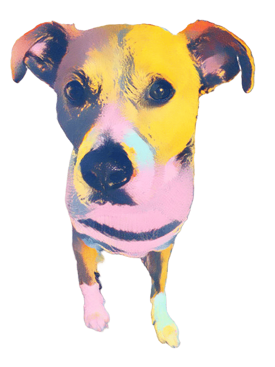 Indiana Jones in Warhol Style