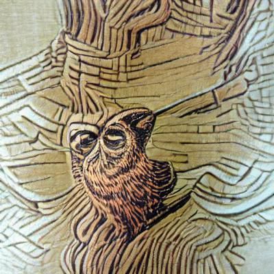 Owl sitting on a branch woodcut