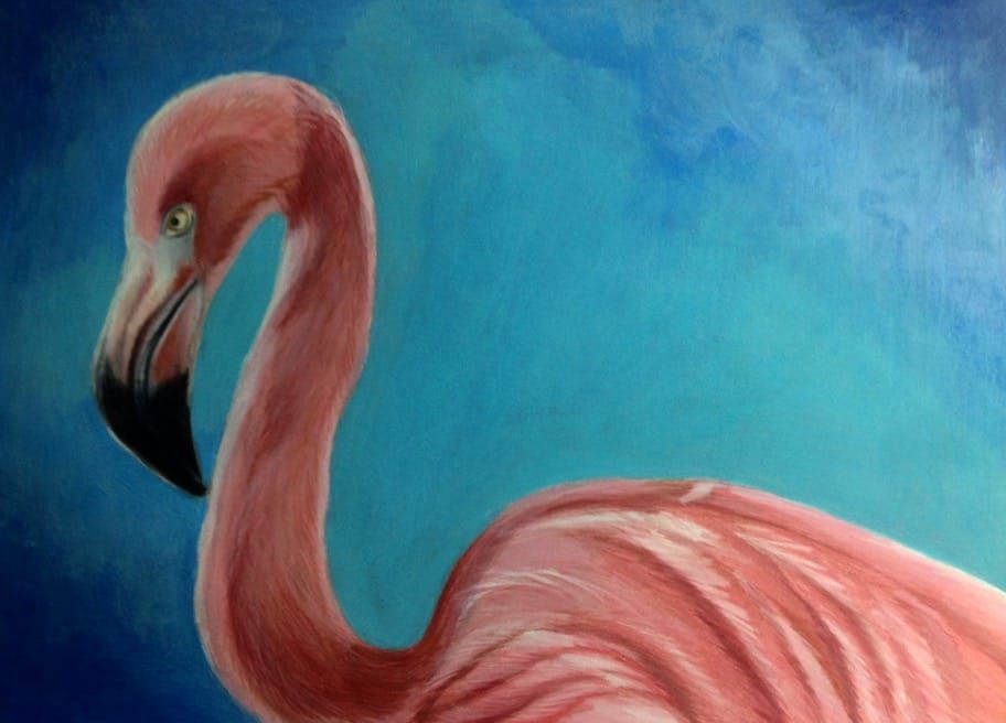 Flamingo