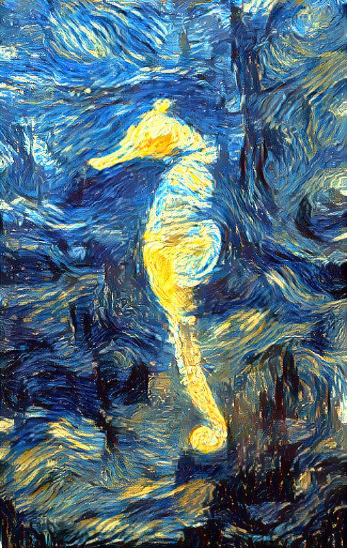 stary horse 
