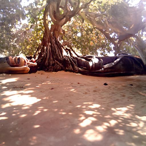 In situ under the Bodhi tree