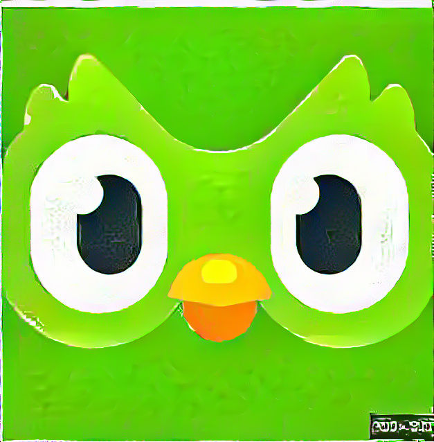 Duolingo
